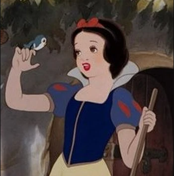 Captura de tweet - Expediente 014